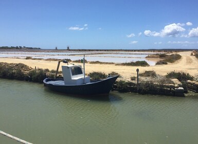 トラーパニ発：マルサラのスタニョーネ諸島と塩田