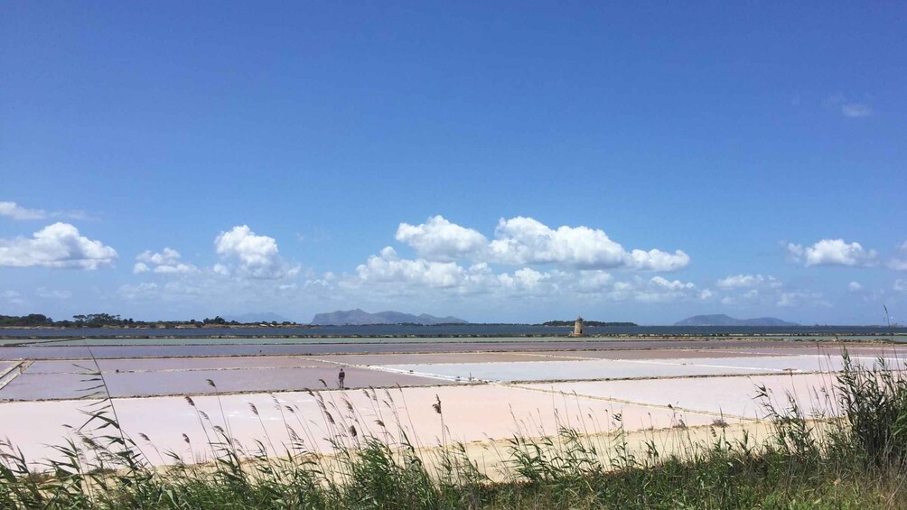 Picture 4 for Activity From Trapani: Stagnone Islands of Marsala and salt pans