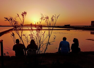 Desde Trapani: islas Stagnone de Marsala y salinas