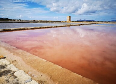 Vanuit Trapani: Stagnoneilanden van Marsala en zoutpannen