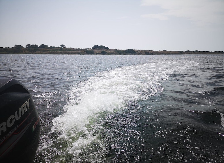 Picture 7 for Activity From Trapani: Stagnone Islands of Marsala and salt pans