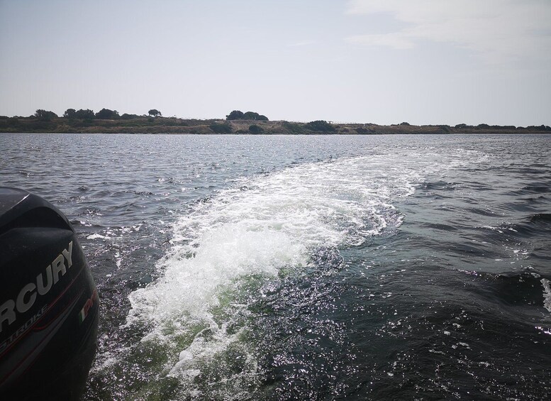 Picture 7 for Activity From Trapani: Stagnone Islands of Marsala and salt pans