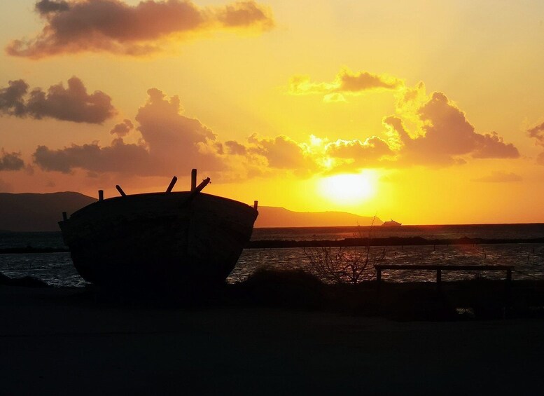 Picture 9 for Activity From Trapani: Stagnone Islands of Marsala and salt pans