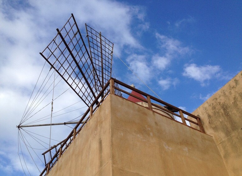 Picture 5 for Activity From Trapani: Stagnone Islands of Marsala and salt pans