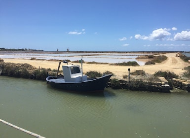 Dari Trapani: Kepulauan Stagnone di Marsala dan ladang garam