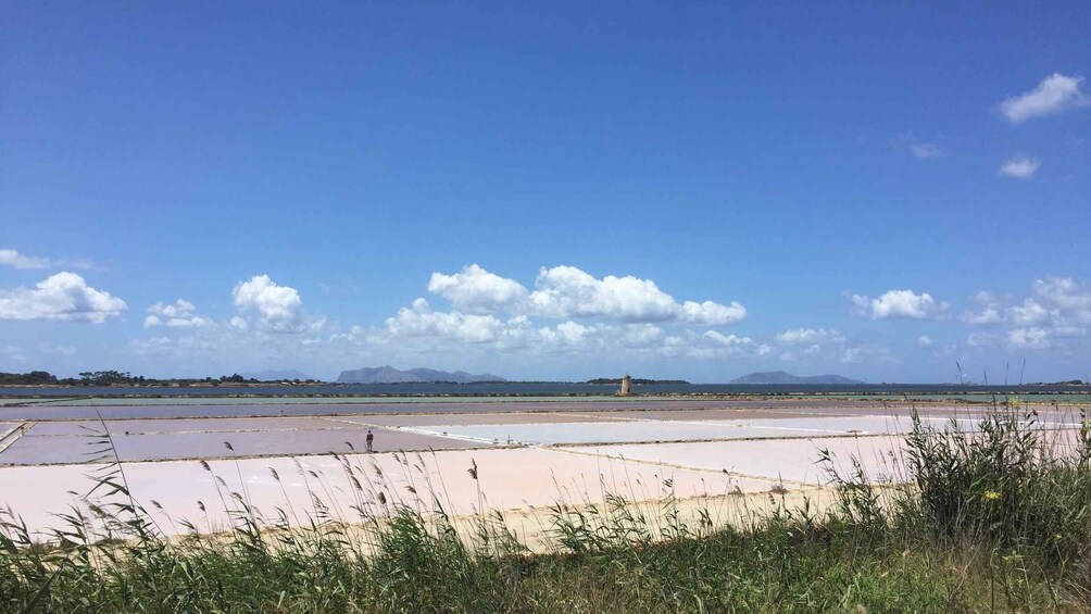 Picture 4 for Activity From Trapani: Stagnone Islands of Marsala and salt pans