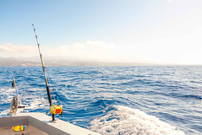 Picture 4 for Activity Abu Dhabi: Explore Fishing Boat Trip and Sightseeing