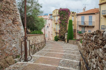 Cannes : visite guidée à pied