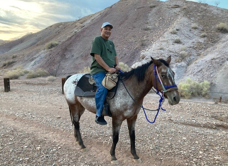 Picture 6 for Activity Las Vegas: Horseback Riding Tour