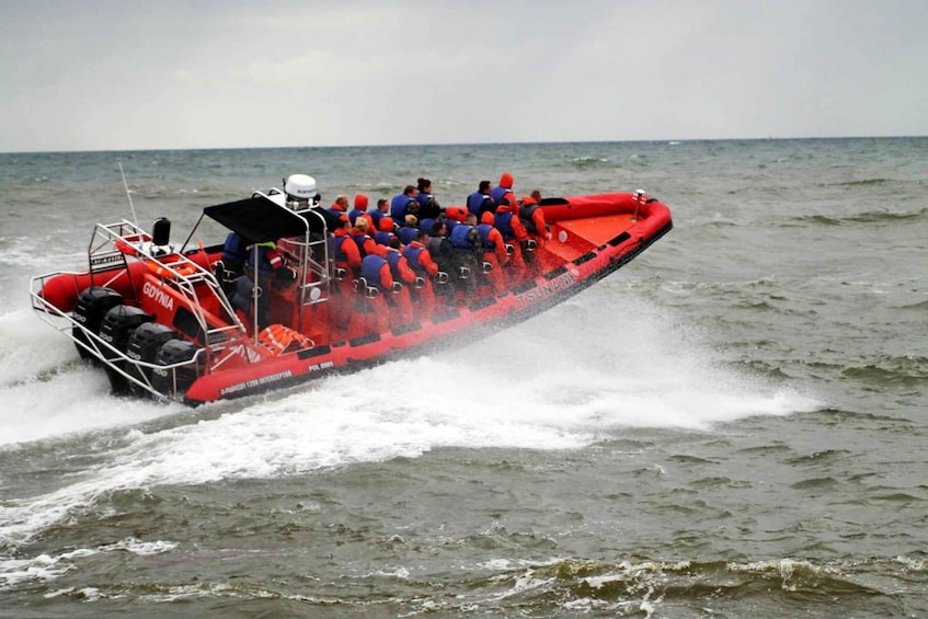 Picture 2 for Activity Reykjavik: Whale Watching by RIB Speedboat