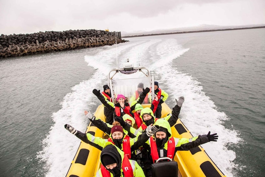 Picture 12 for Activity Reykjavik: Whale Watching by RIB Speedboat