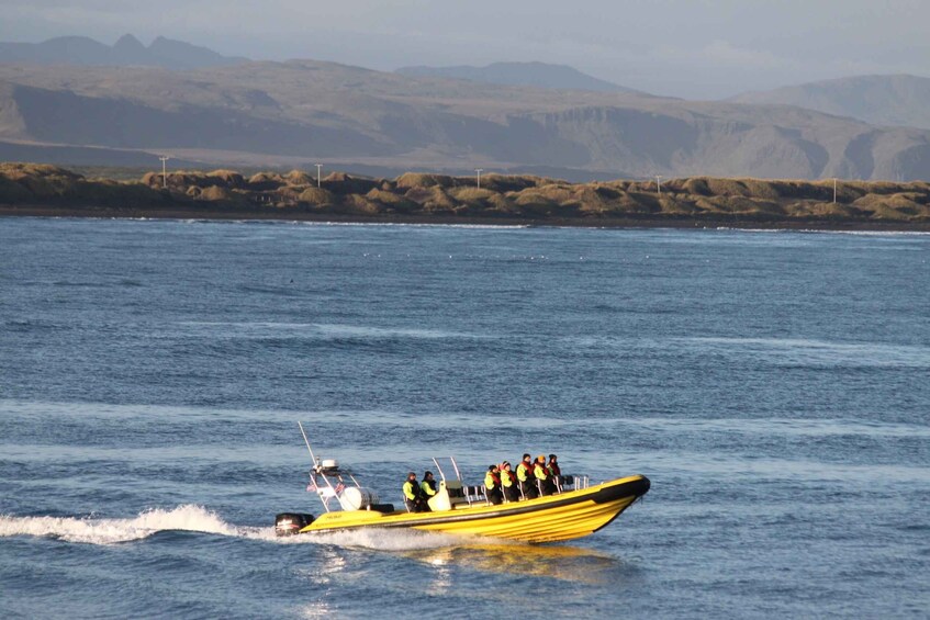 Picture 13 for Activity Reykjavik: Whale Watching by RIB Speedboat