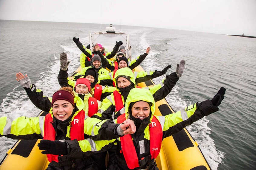 Picture 1 for Activity Reykjavik: Whale Watching by RIB Speedboat
