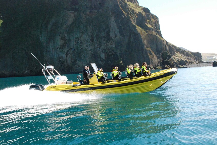 Picture 6 for Activity Reykjavik: Whale Watching by RIB Speedboat