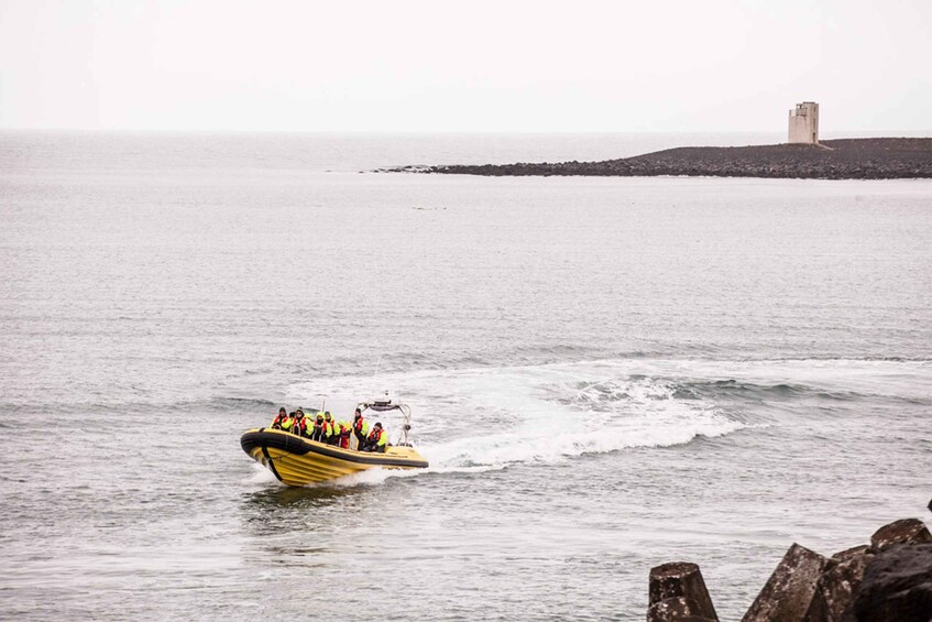 Picture 10 for Activity Reykjavik: Whale Watching by RIB Speedboat