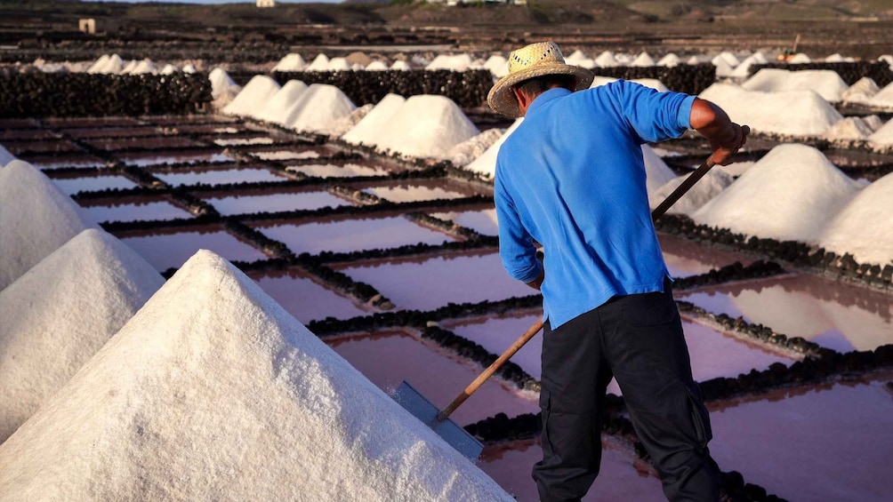 Picture 5 for Activity Lanzarote: Janubio Salt Flats Guided Tour