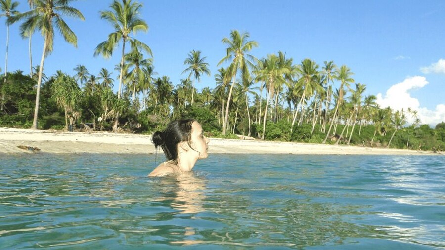 Zanzibar Full-Day Cruise on the Sandbank and Island