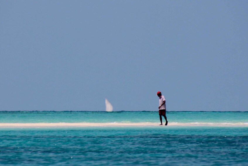 Picture 2 for Activity Zanzibar Full-Day Cruise on the Sandbank and Island