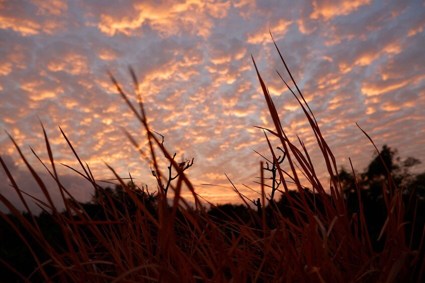 Picture 1 for Activity Bali: Mount Batur Entry Ticket on a Guided Hike or Jeep Ride