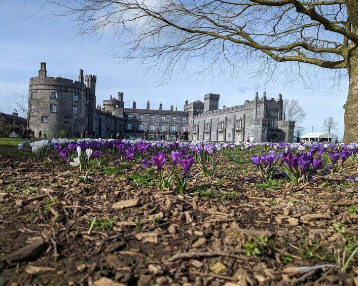 Picture 1 for Activity Kilkenny: Historical Highlights Walking Tour