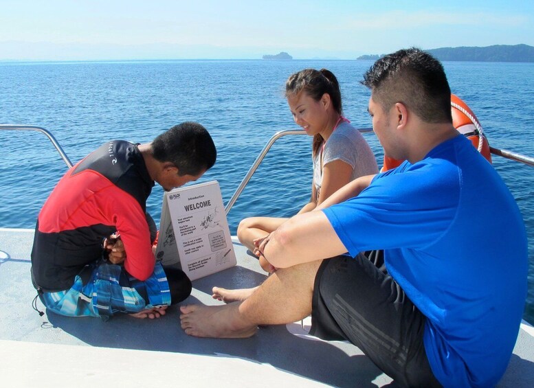 Kota Kinabalu: PADI Open Water Diver Course