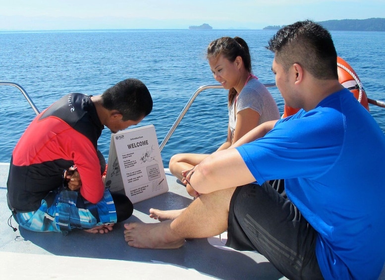 Kota Kinabalu: PADI Open Water Diver Course