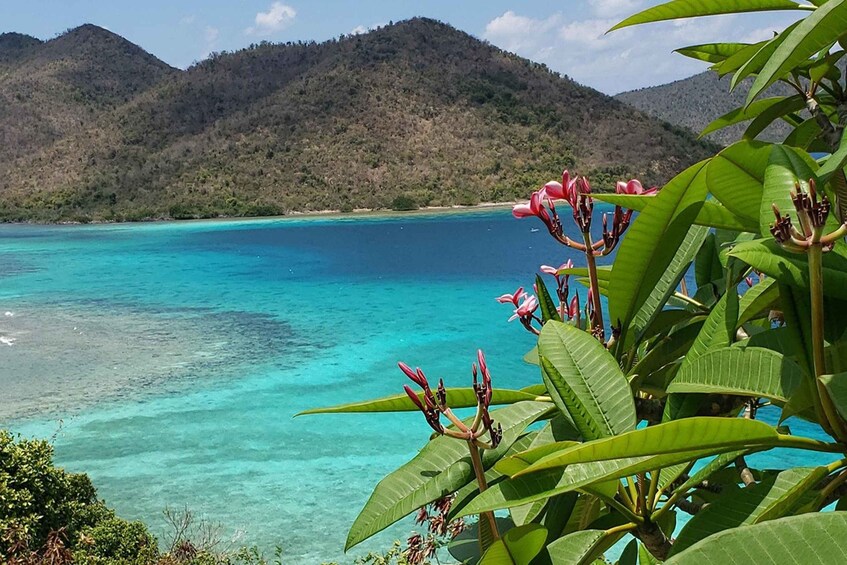 Picture 2 for Activity St. John: A Private Island Adventure Tour & Trunk Bay Beach