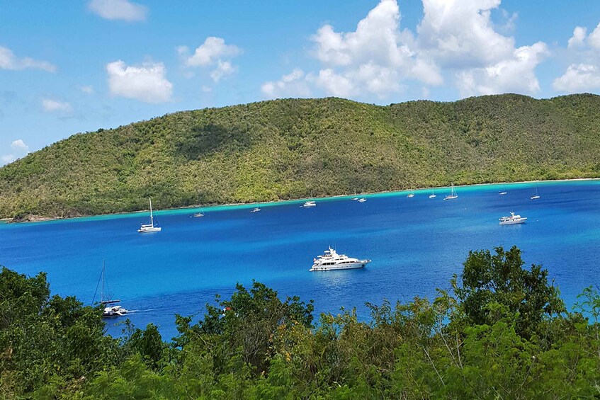 Picture 3 for Activity St. John: A Private Island Adventure Tour & Trunk Bay Beach