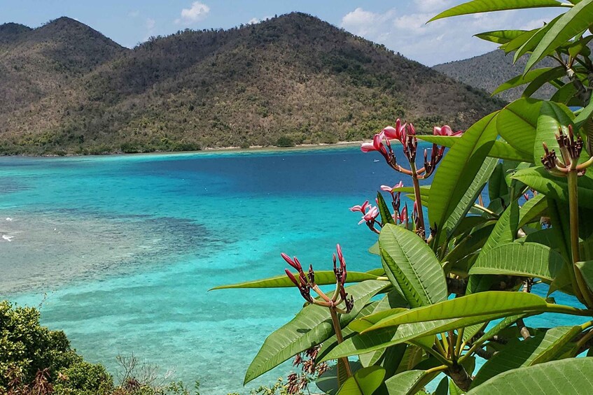 Picture 2 for Activity St. John: A Private Island Adventure Tour & Trunk Bay Beach