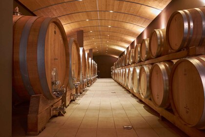 Valpolicella: Amarone Experience with Cantina Visit