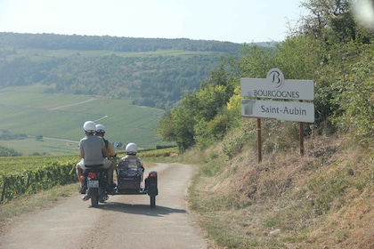 Sidecar tour with tasting a glass of wine in the vineyard