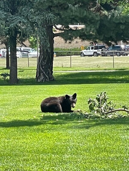 Picture 7 for Activity Cheyenne Cañon Art and Nature Segway Tour