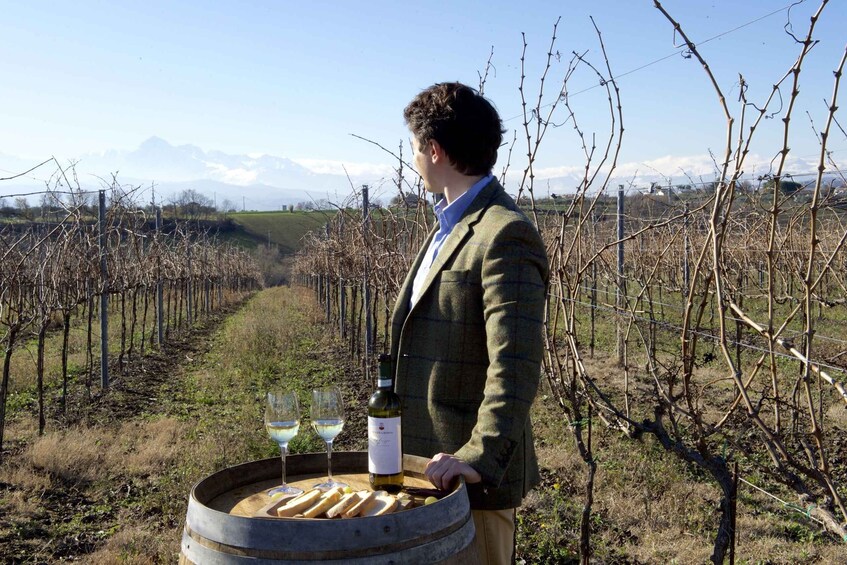 Picture 1 for Activity Abruzzo: Historic Cellar Wine Tour and Tasting