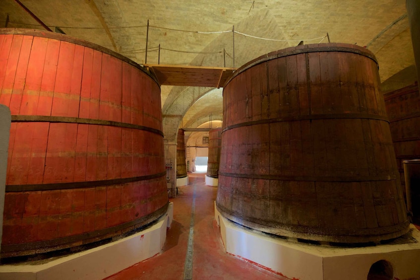 Picture 9 for Activity Abruzzo: Historic Cellar Wine Tour and Tasting