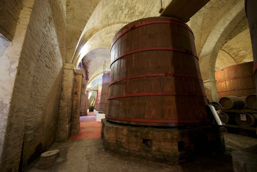 Picture 3 for Activity Abruzzo: Historic Cellar Wine Tour and Tasting