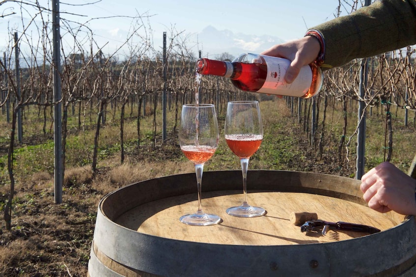 Picture 2 for Activity Abruzzo: Historic Cellar Wine Tour and Tasting