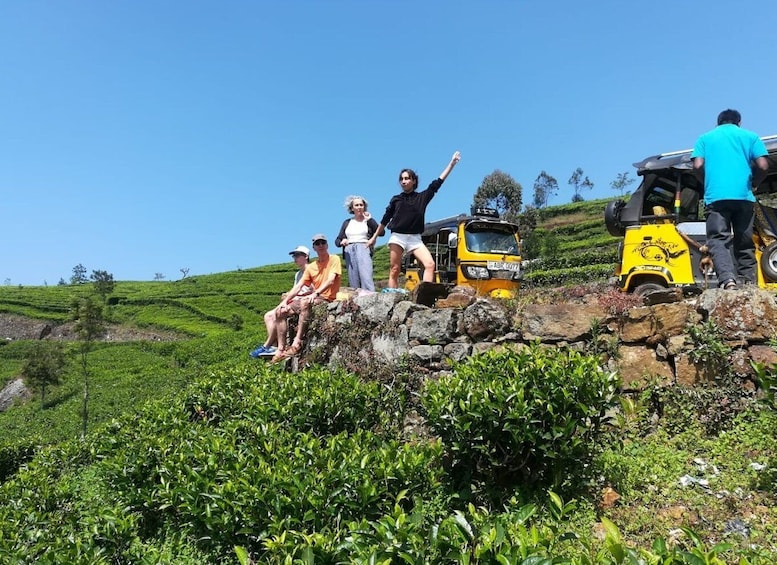 Picture 2 for Activity Ella Haputae Tea Plantation Safari By TukTuk & Cooking Class