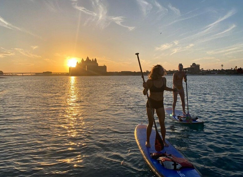 Dubai: Palm Jumeirah Paddle Boarding Tour