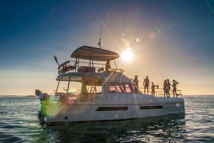 Ciudad del Cabo: crucero de lujo de 1,5 horas al atardecer con Prosecco