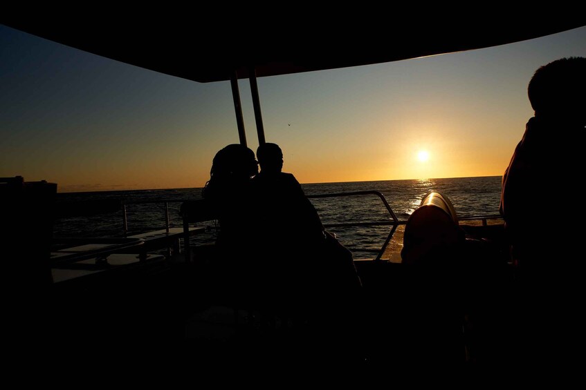 Picture 2 for Activity Cape Town: 1.5-Hour Luxury Sunset Cruise with Prosecco