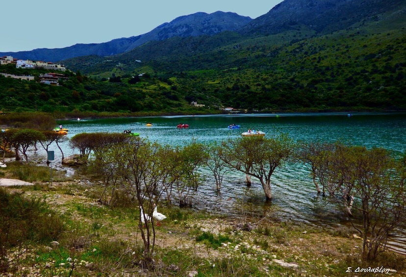 Picture 12 for Activity From Chania: Spili, Matala Beach, & Kournas Lake Day Trip