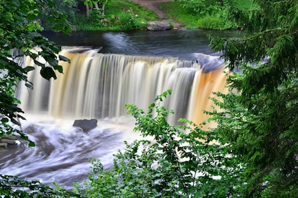 Magnificent nordic nature of North-Western Estonia