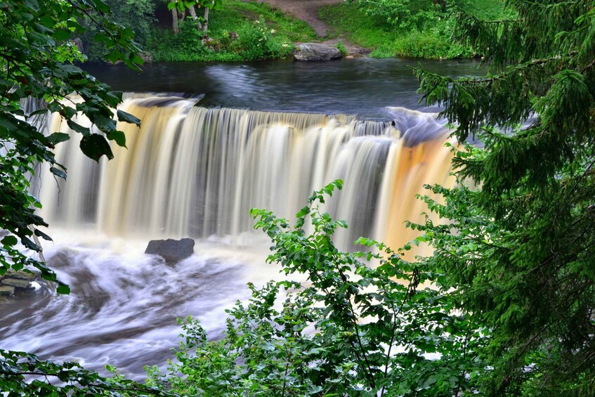 Magnificent nordic nature of North-Western Estonia