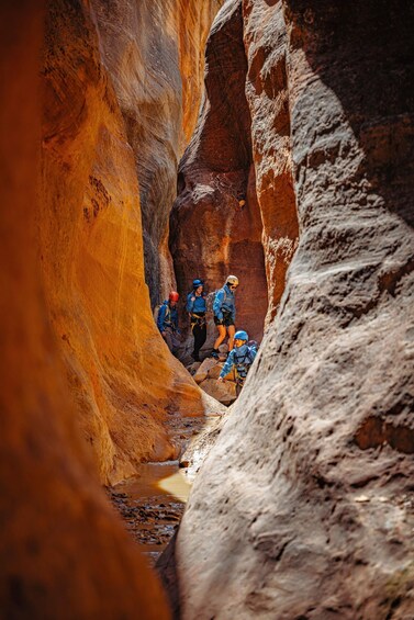 Picture 17 for Activity East Zion: Stone Hollow Full-day Canyoneering Tour