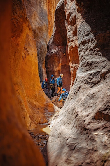 Picture 17 for Activity East Zion: Stone Hollow Full-day Canyoneering Tour