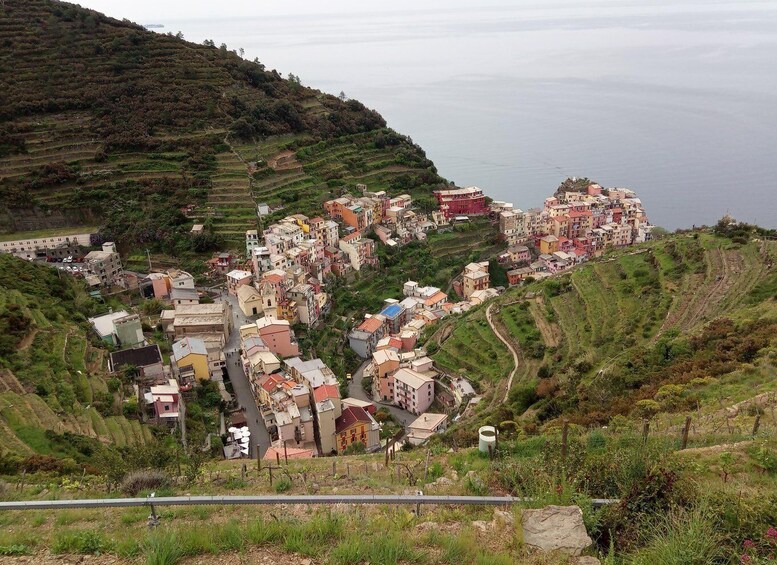 Picture 7 for Activity Cinque terre wine tour and tasting with the somelier