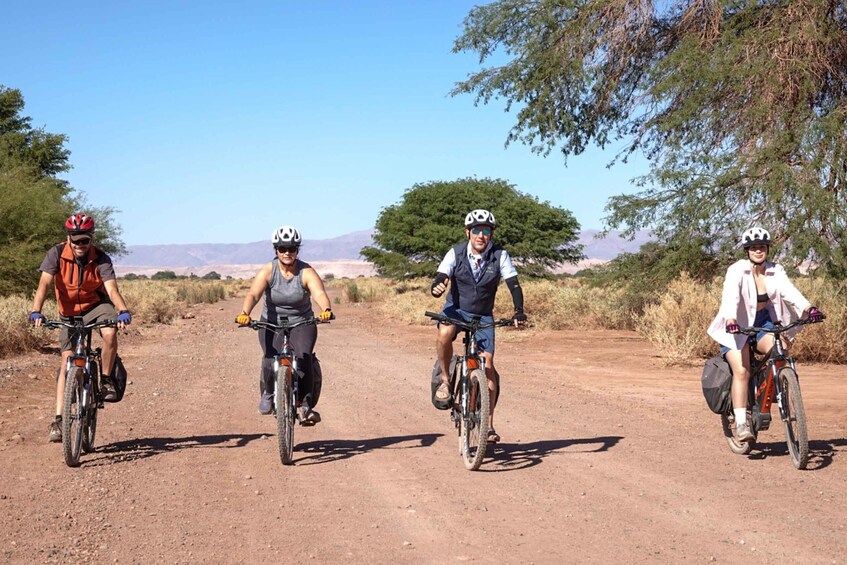 Picture 1 for Activity From San Pedro de Atacama: Laguna Cejar E-biking Adventure