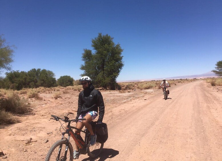 Picture 3 for Activity From San Pedro de Atacama: Laguna Cejar E-biking Adventure