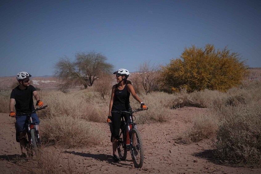 Picture 4 for Activity From San Pedro de Atacama: Laguna Cejar E-biking Adventure