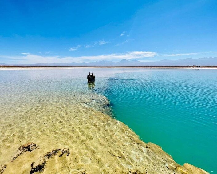 Picture 2 for Activity From San Pedro de Atacama: Laguna Cejar E-biking Adventure